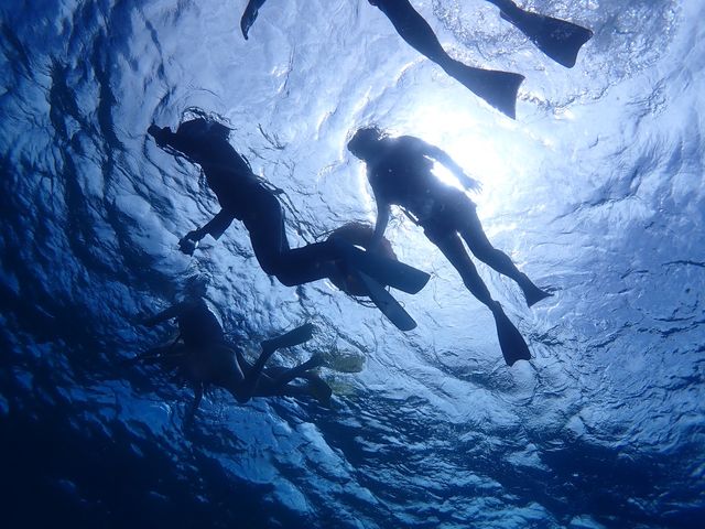 石垣島あいくるシーサー