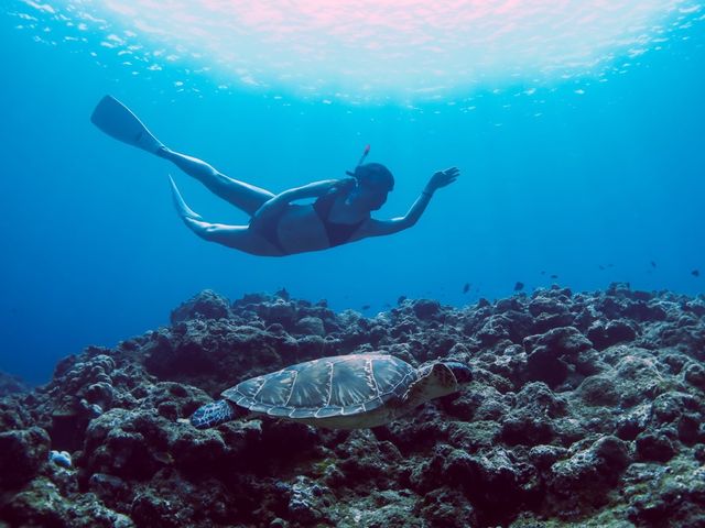 石垣島あいくるシーサー