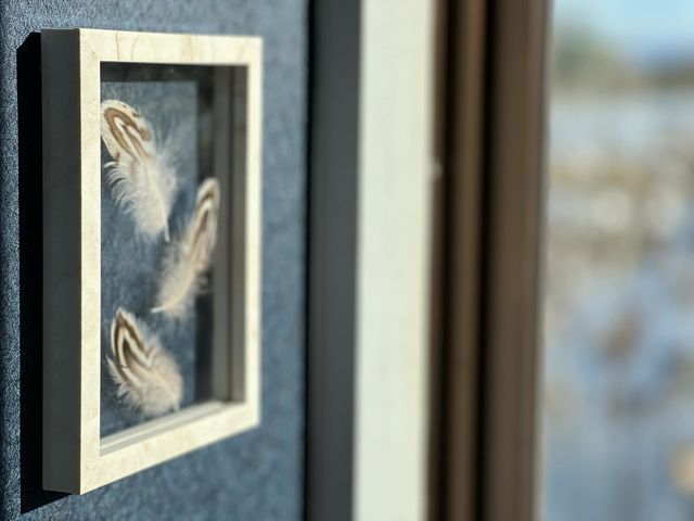 瓢湖白鳥観察舎販売組合