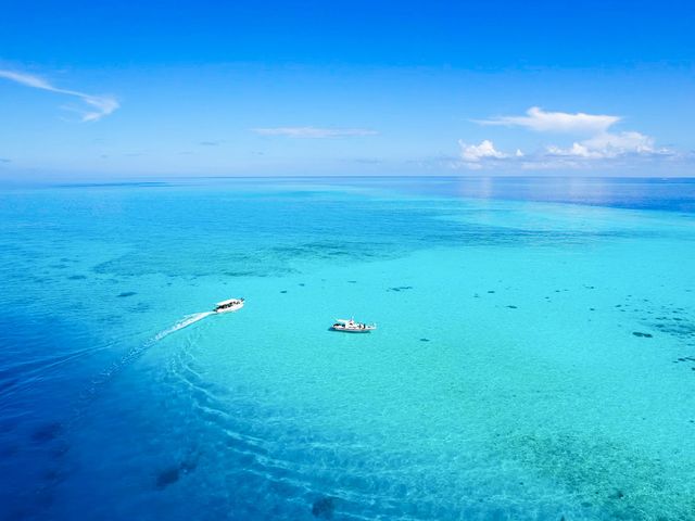 ツアー最大旅客人数11名のみの【少人数制】でご案内します!_グルービーブルー