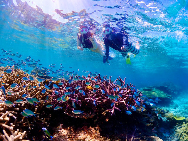 八重干瀬のカラフルなサンゴ礁・熱帯魚の景色は圧巻ものです!_グルービーブルー