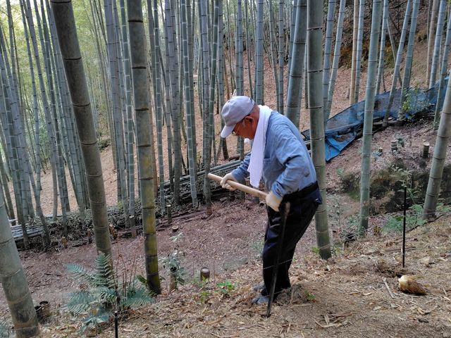 飯田農園の当主、足が動かない〜と言いつつ頑張っています(まだ80才)_飯田農園直売所