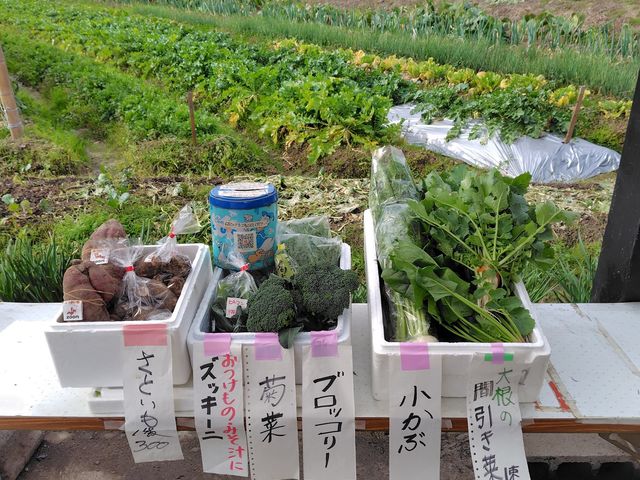 直売所横の畑でとれた野菜を販売しています_飯田農園直売所