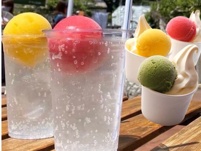 この時期にぴったりのジェラートとサイダーが合体したサイダーフロートもおすすめです。_城崎ジェラートカフェChaya