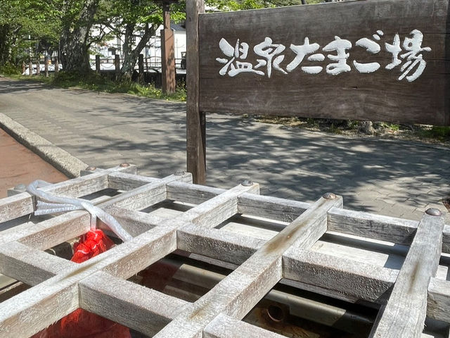 源泉を使ってつくる「ぷるぷる温泉たまご」は必食。地元兵庫県産の無農薬地卵を使用し、自分好みの硬さに仕上げる“半熟体験”ができるのも魅力です。_城崎ジェラートカフェChaya