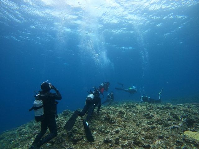 ダイビングショップanhelotrip
