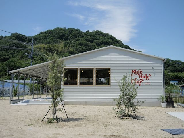 ブルーベリーファーム呉