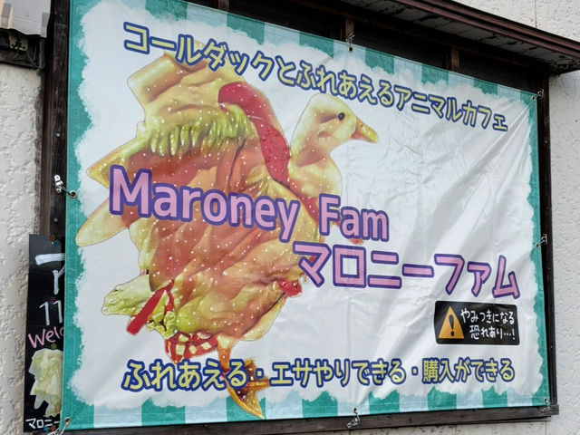 Maroney Fam(マロニーファム)