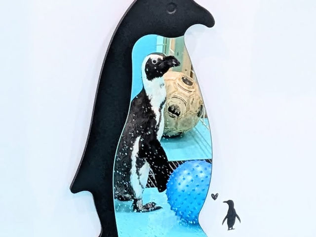 Penguin Cafe TAIL