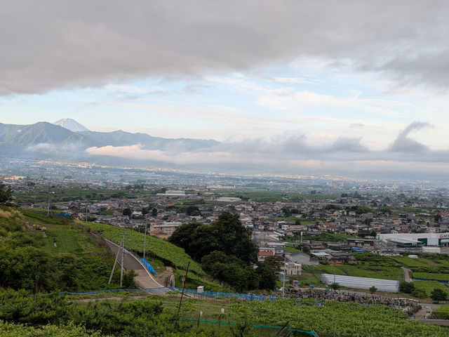 畑からの眺め_万力農家のあさ直