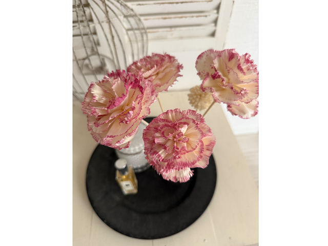 carnation カーネーション_Lien fleuri 花教室リアンフルリ