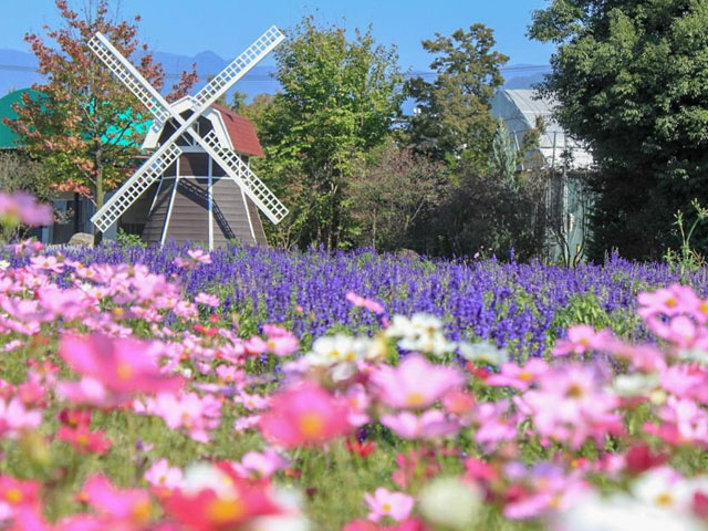 ハーブ庭園_ワンダーツアーズ