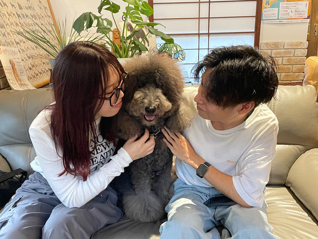 わんちゃんが癒されてる(笑)_犬カフェ カタノダプラス