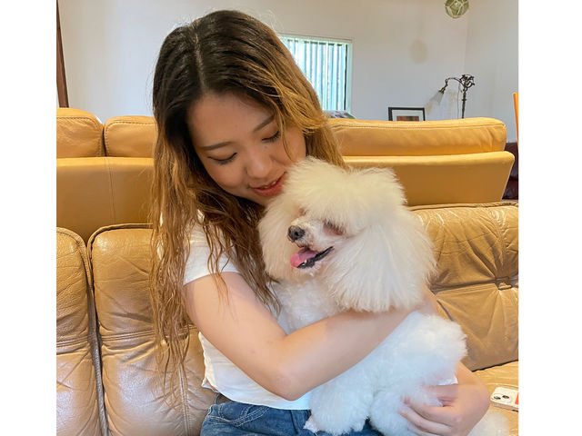 フワフワ♪モフモフな子と♪_犬カフェ カタノダプラス