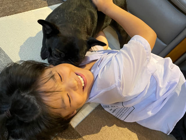 愛情表現がスゴイ子も♪_犬カフェ カタノダプラス