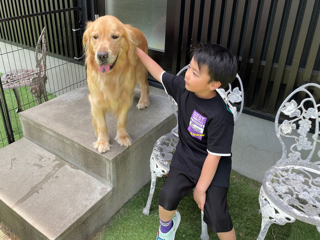 田舎の風景を見ながら、わんことのんびり♪_犬カフェ カタノダプラス