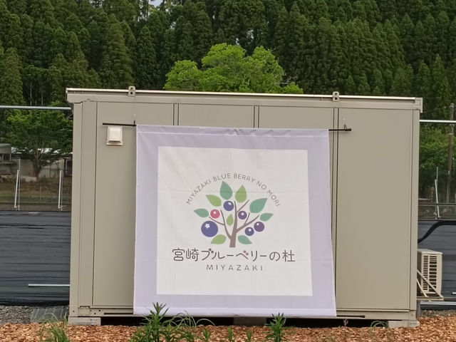 宮崎ブルーベリーの杜