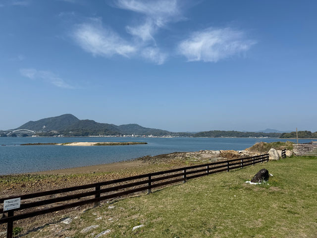 岬公園があり、ご宿泊者様チェックインまでの時間はご利用可_UKIUKISEABBQ