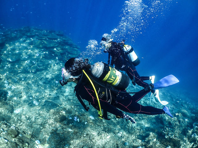CHIME DIVE