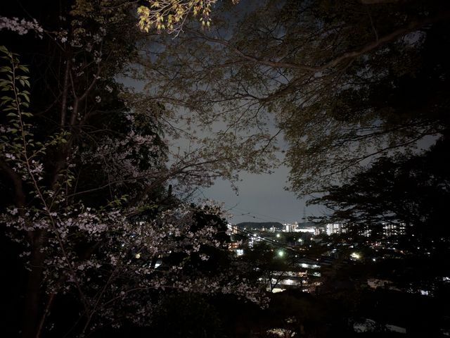 塩竃神社