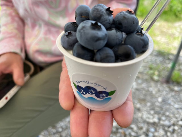 ブルーベリーファームみさき