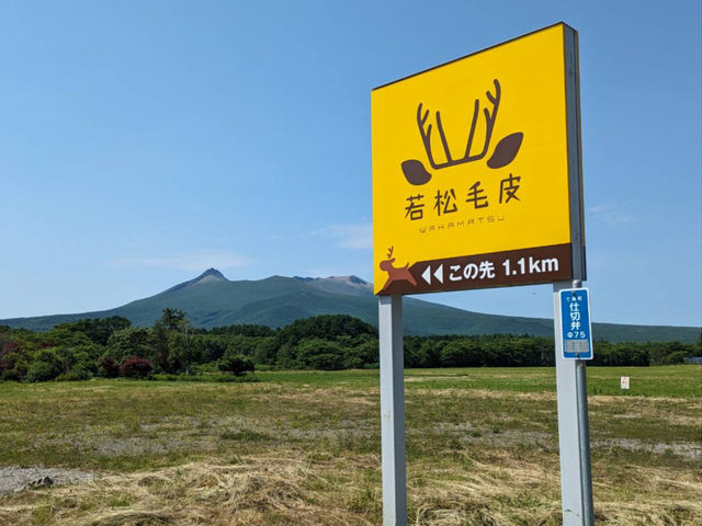 黄色い看板が目印!
天気がいいと駒ケ岳がはっきり見えます
絶景です_有限会社若松毛皮