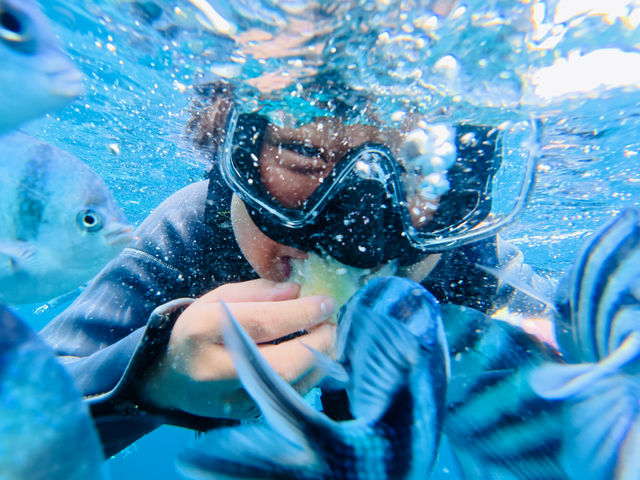 透き通る青…可愛い熱帯魚…あなたはこの海から出た後更に沖縄が好きになる。恩納村青の洞窟ならUNDA SNORKELING CLUB_UNDA Snorkeling Club