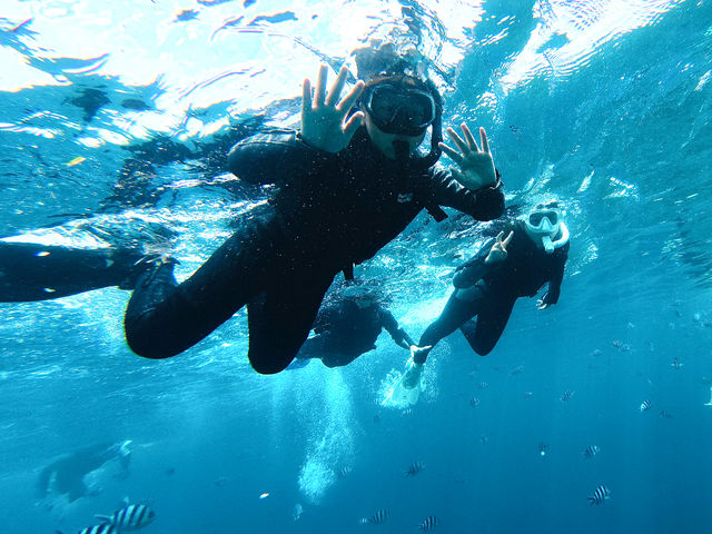 初心者大歓迎!!不安がなくなるまでレクチャーするので安心!!!_UNDA Snorkeling Club