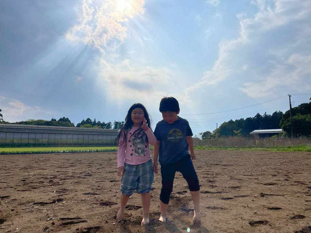 収穫体験の場所・ねころび農園_ぴよぴよハウス九美上