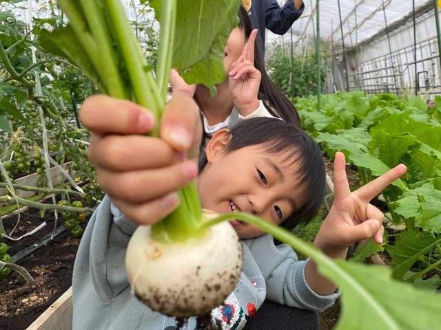 霜降しいたけ 有機農園