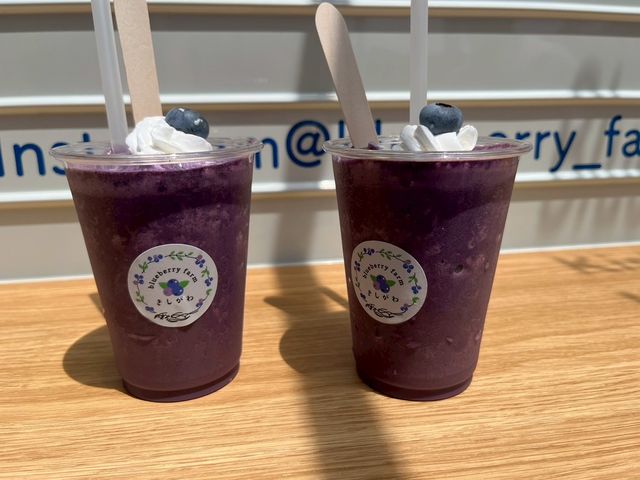 ブルーベリーファームきしがわ