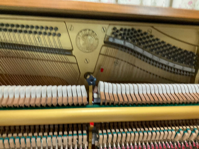 ボンヌシャンス音楽教室