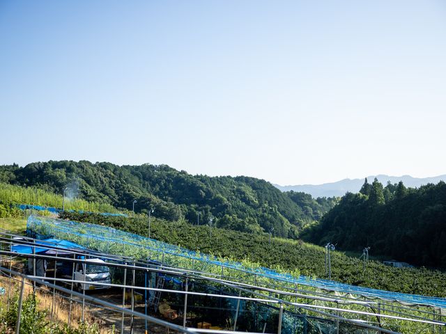 五條の大自然にて
真心こめて育てています!
_堀内果実園