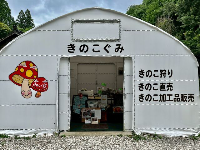 きのこぐみ