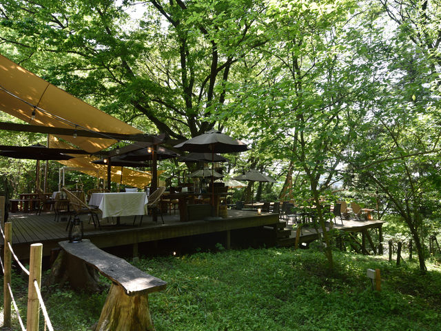 隣接カフェ1
_宇都宮アルプスの森キャンプ場