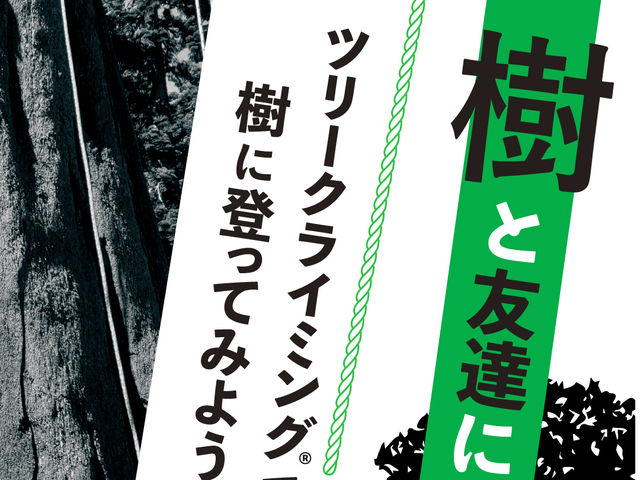 JUN TREE SERVICE