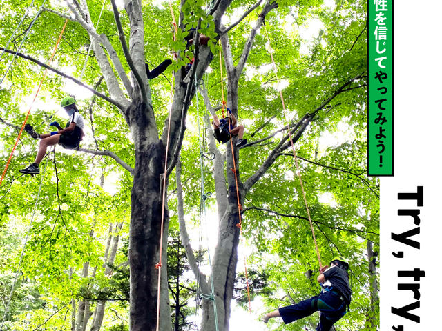 JUN TREE SERVICE