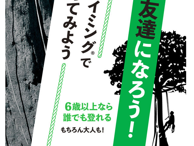 JUN TREE SERVICE