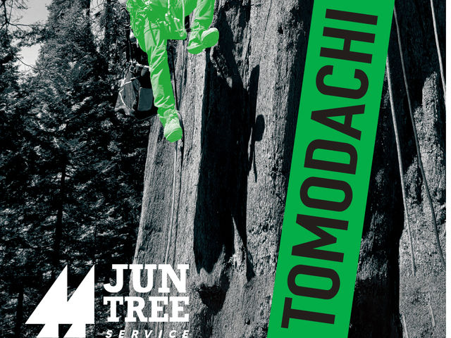 JUN TREE SERVICE