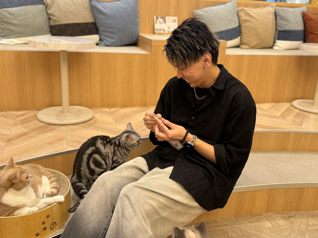 猫カフェMOCHA(モカ)イオンモール福津店