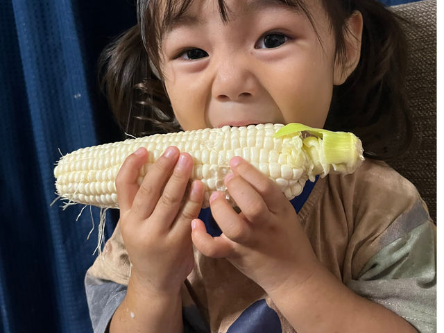 子どもも大好きとうもろこし!_ふるさと工房