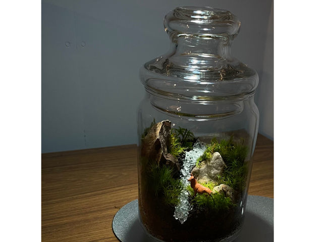 お客様作品_Moss Country