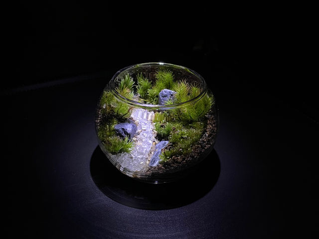 作品例_Moss Country