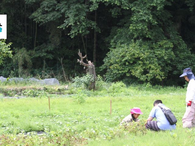 あきる野しぜん学び舎