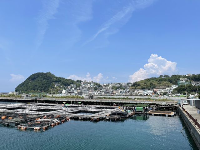 日本のアマルフィー
雑賀崎漁港_和歌山観光ガイド 藤白トラベル