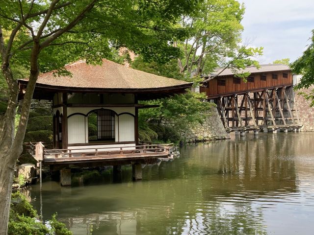 和歌山城_和歌山観光ガイド 藤白トラベル