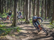 フォレストバイクの写真3
