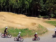 フォレストバイクの写真4