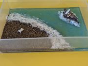 FREAK FLEEKの写真3