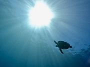 Seaside Dive Hub AquaVistaの写真2